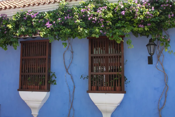 stock image Detail of a colonial house. Cartagena