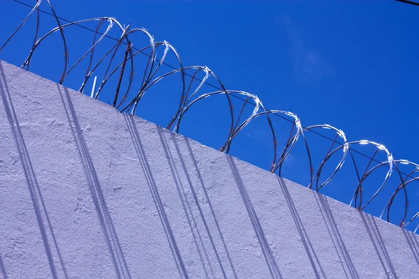 stock image Wall with barbed wire.