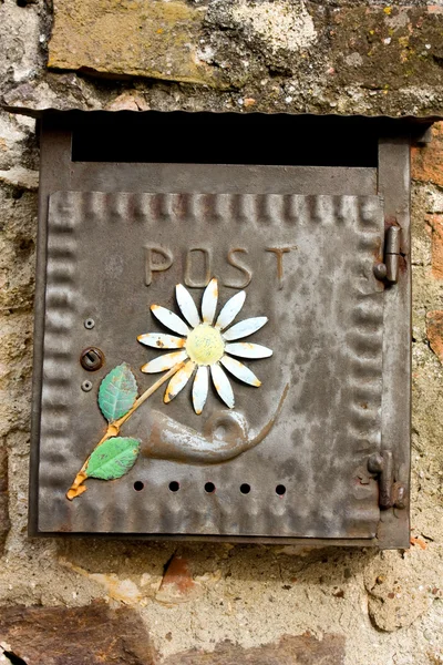 Caixa de metal rústico com flor — Fotografia de Stock
