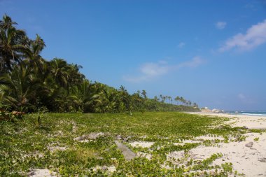 Caribbean beach. Tayrona Milli Parkı. Kolombiya