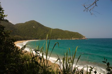 Caribbean beach. Tayrona Milli Parkı. Kolombiya