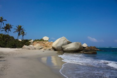 Caribbean beach with palms clipart