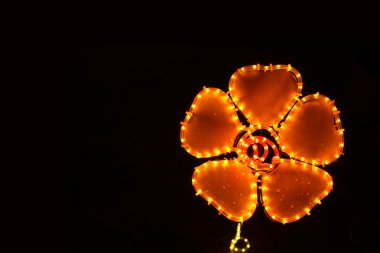 Flower of light clipart