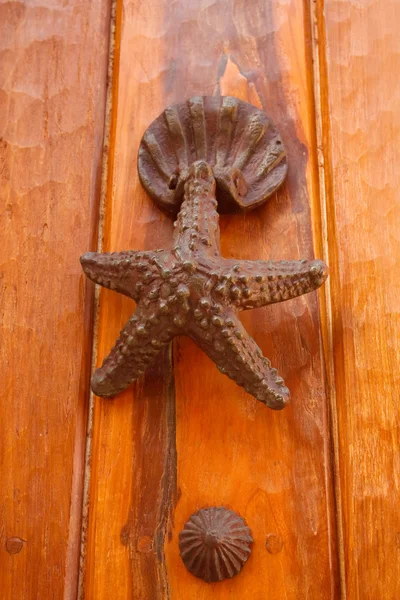 문 고리 모양의 불가사리와 쉘 — 스톡 사진