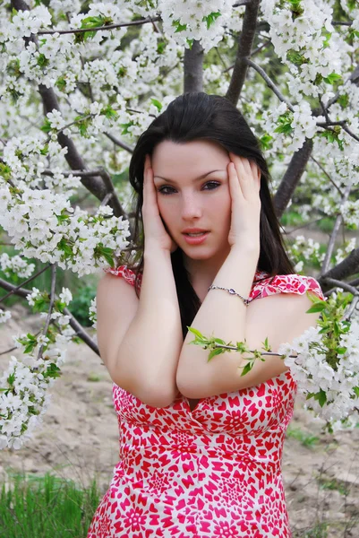 Den vackra flickan i en trädgård — Stockfoto