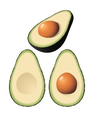 Vector Avocado clipart