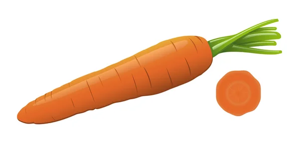 Vector Carrot — Stock Vector