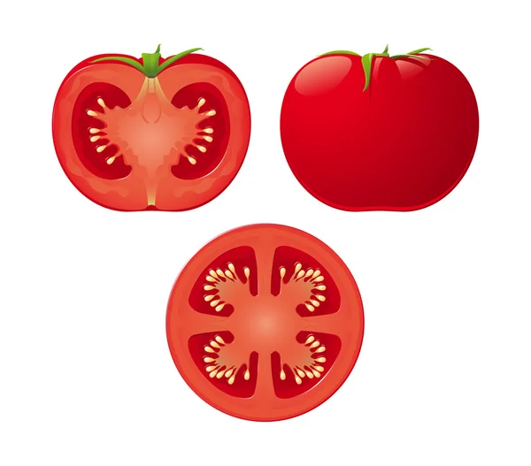Tomate vectorial — Vector de stock