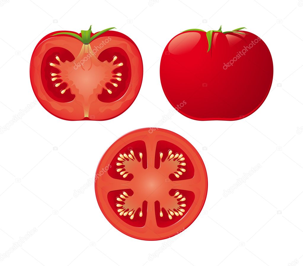 Vector Tomato