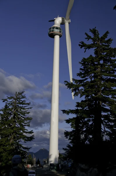 Wind turbine in amongst the trees — Stock Photo, Image