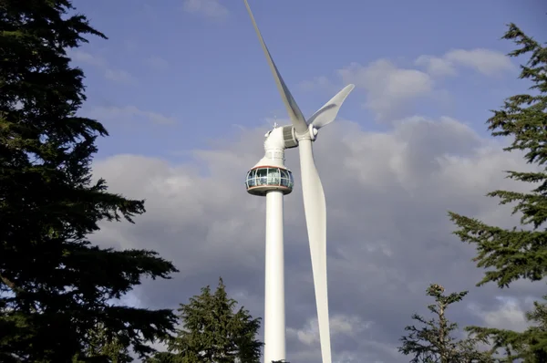 Wind turbine in amongst the trees — Stock Photo, Image