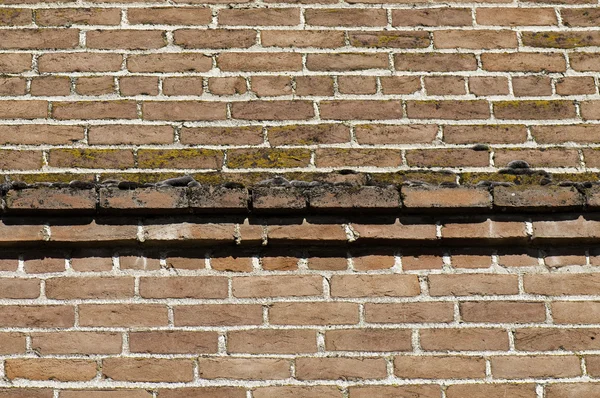 Brick and moss — Stock Photo, Image