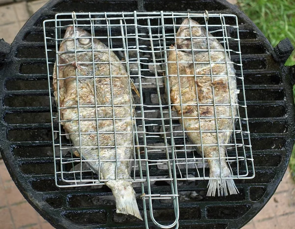 Stock image Fish on grill