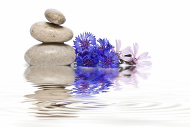 Zen balance with wild flowers 2. clipart