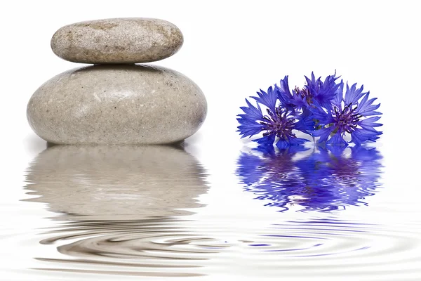 Zen balance with wild flowers 3. — Stock Photo, Image