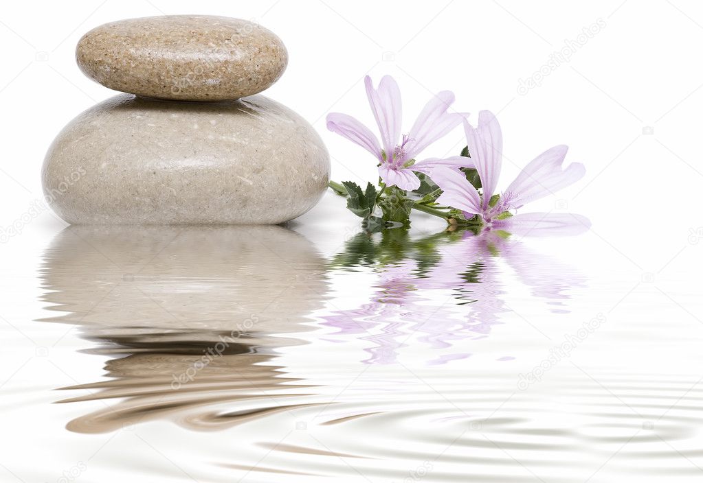 Zen balance with wild flowers 10.
