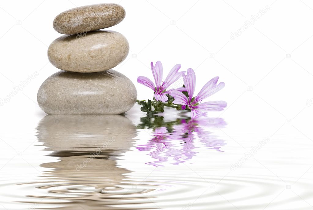 Zen balance with wild flowers 8.