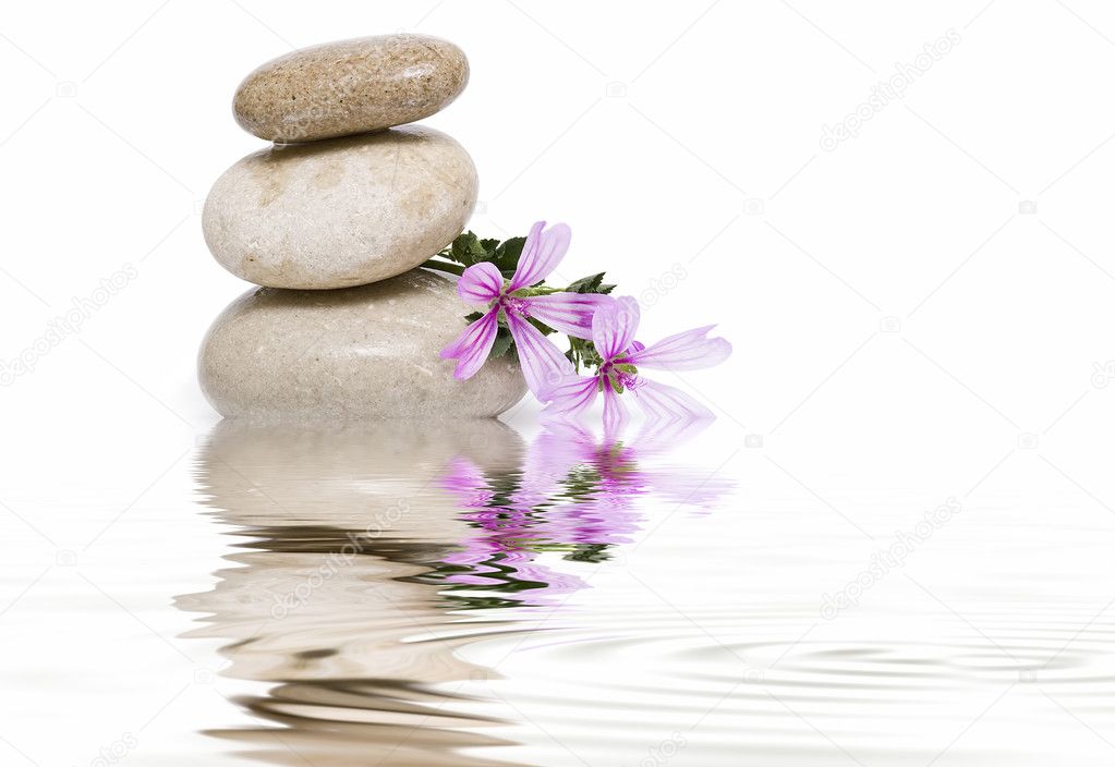 Zen balance with wild flowers 7.