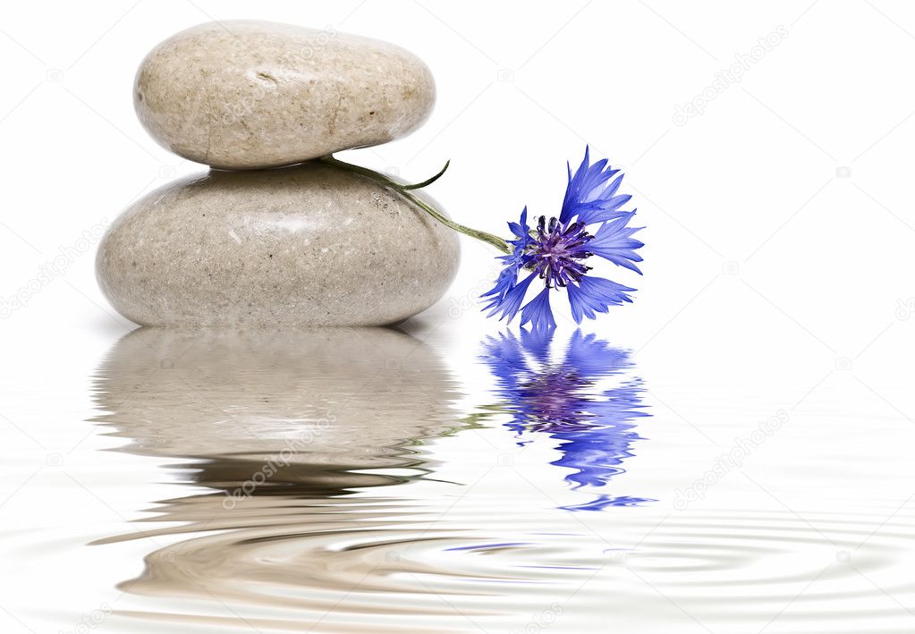 Zen balance with wild flowers 5.
