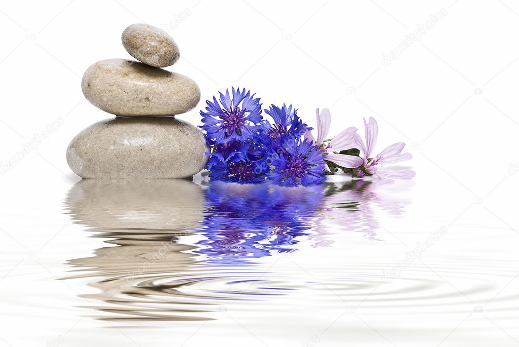 Zen balance with wild flowers 2.