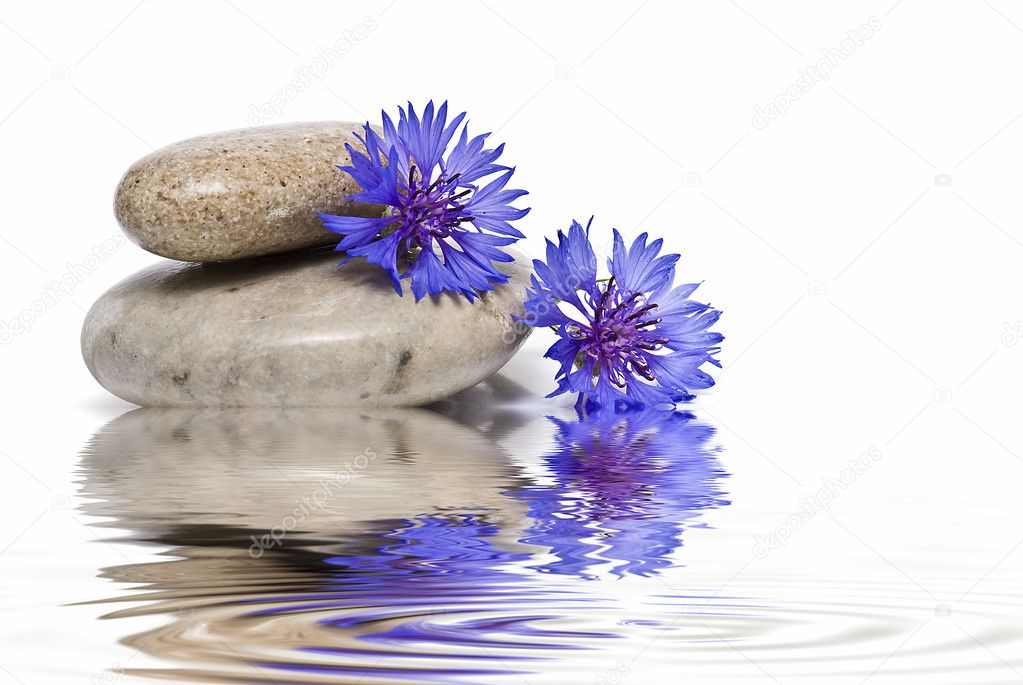 Zen balance with wild flowers.