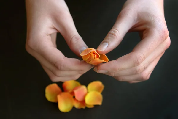 Young Woman Peels Away Rose Petals