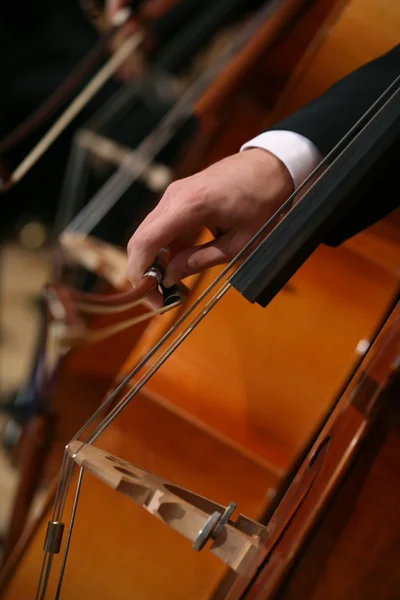 Close-up van een man spelen van cello — Stockfoto