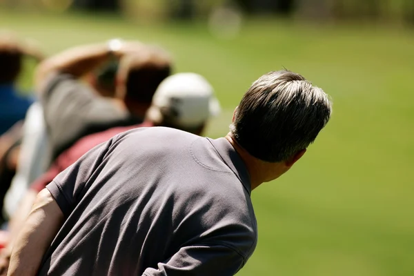 Titta för golfboll på fairway Royaltyfria Stockbilder