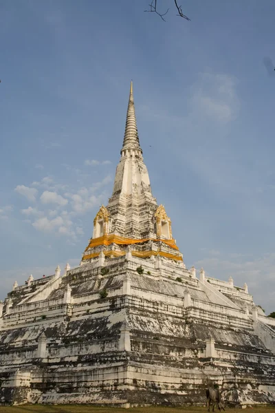 Ayutthaya thailandia — Foto Stock