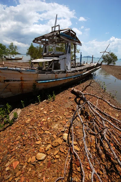 Сухое дерево и старая лодка — стоковое фото