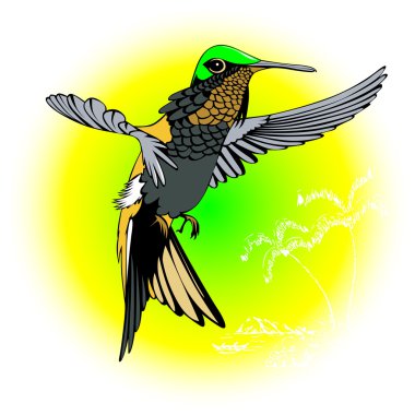 Hummingbird clipart