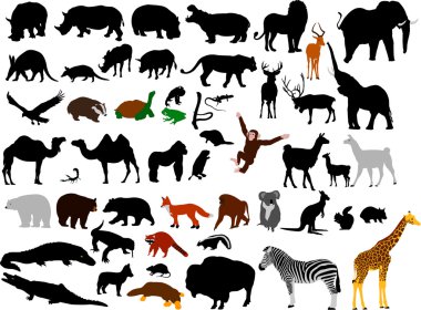 Collection of wild animals vector silhou clipart