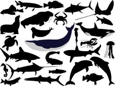 Collection of aquatic wildlife vector si