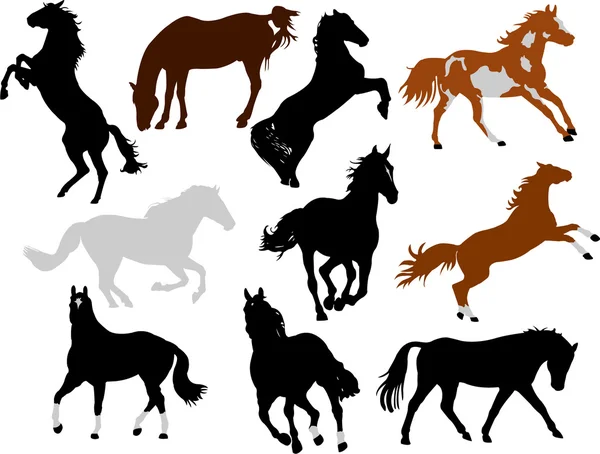 Horses collection vector — Stock Vector