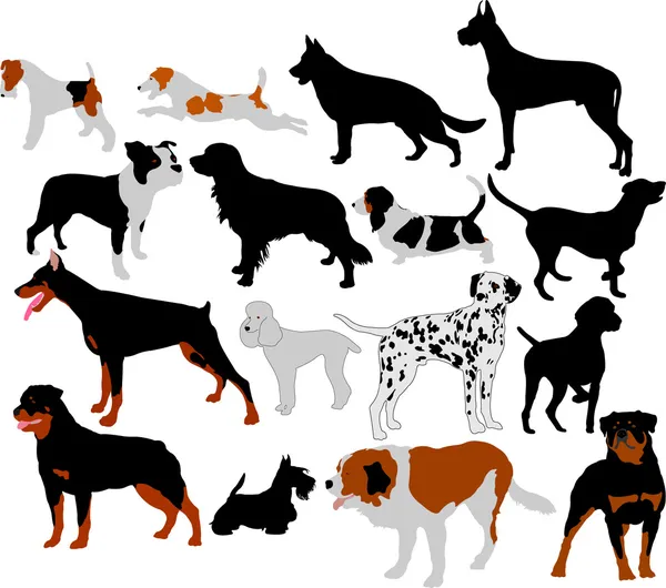 Векторные силуэты для сбора собак — стоковый вектор