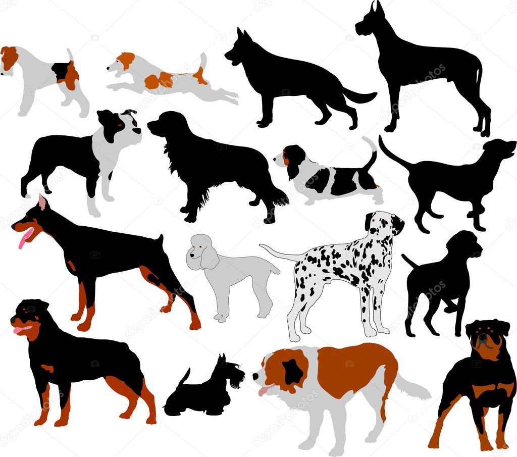Dogs collection vector silhouettes