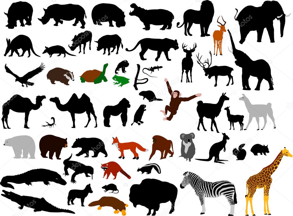Collection of wild animals vector silhou