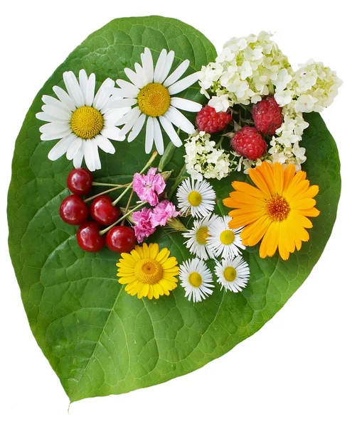 Groene hart met bloemen en vruchten — Stockfoto