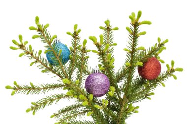 Christmas balls on fur-tree branch clipart