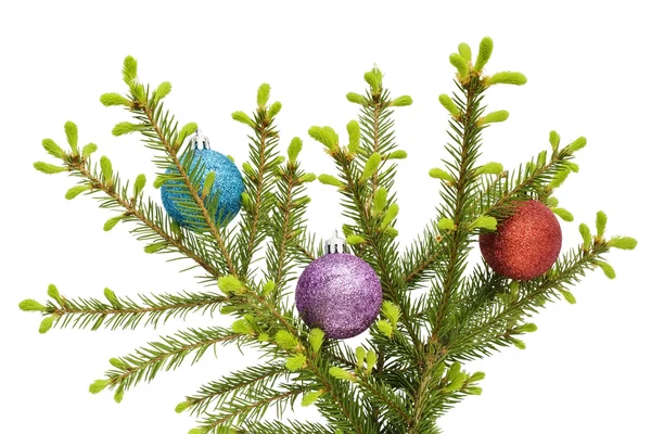 Bolas de Natal em ramo de árvore de pele — Fotografia de Stock
