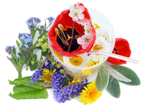 Коктейль из майских цветов — стоковое фото