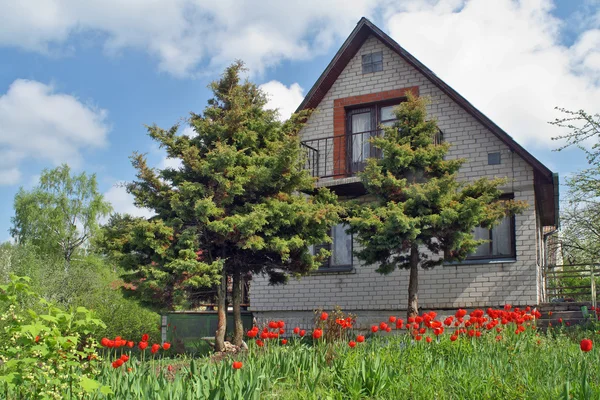 Деревенский дом и тюльпаны — стоковое фото