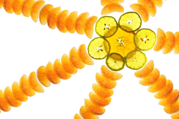 柑橘太阳 — 图库照片