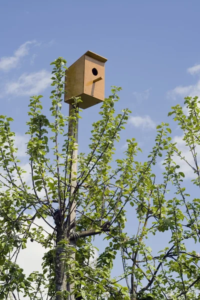 鳥のための小さな家 — ストック写真