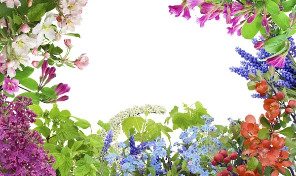 Primavera mayo flores mezcla — Foto de Stock
