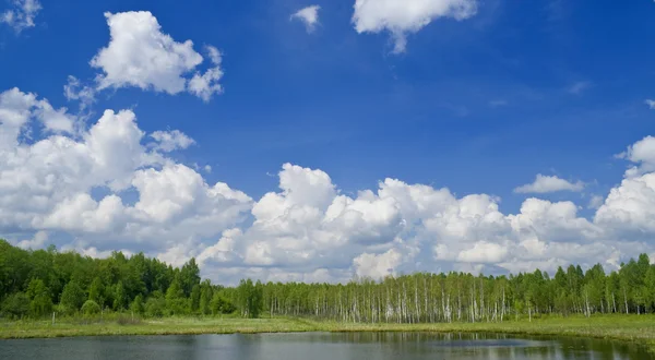 Tło nieba, drewno, jezioro — Zdjęcie stockowe