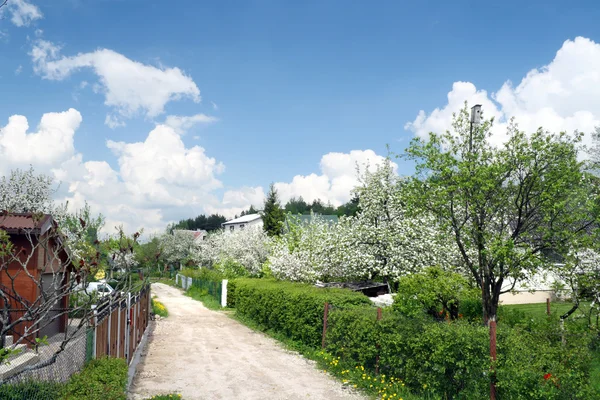 Ulica w kwitnących ogrodów — Zdjęcie stockowe