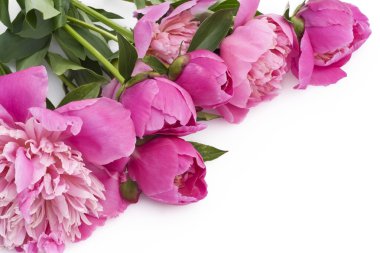 Bouquet of pink peonies on a white table clipart