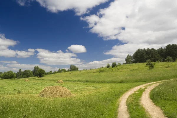 Krajobraz lato z drogi, łąka i siana — Zdjęcie stockowe