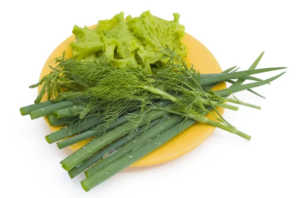 Zöld hagyma, saláta és édeskömény — Stock Fotó